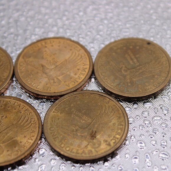 227254-(5) 2000 D Sacagawea Dollars - Picture 4 of 4